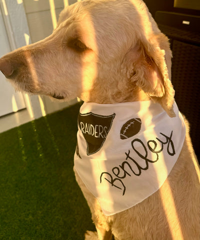 Sports Team Pet Bandana